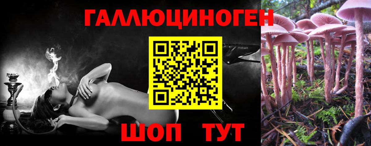 где можно купить наркотик  Вход с VPN  Котлас  Галлюциногенные грибы мицелий 